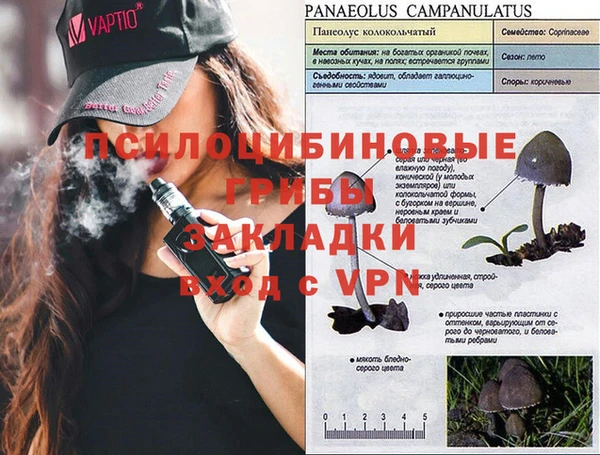 спиды Алексеевка