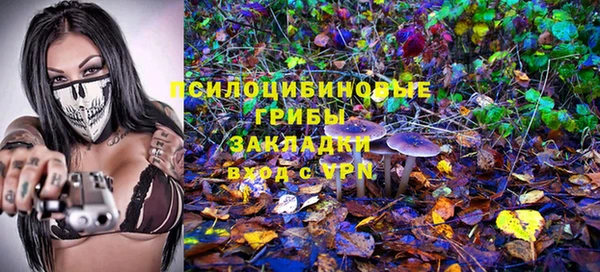 спиды Алексеевка