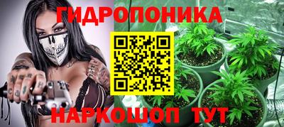 тгк Кингисепп