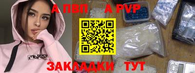 тгк Кингисепп