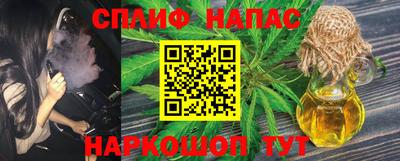 тгк Кингисепп