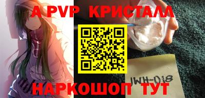 тгк Кингисепп