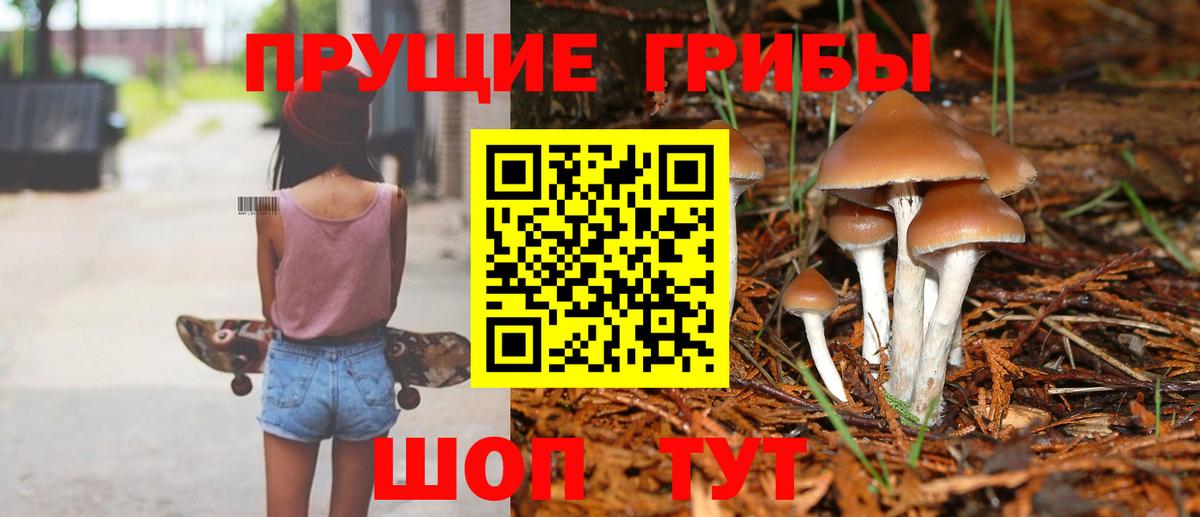 Псилоцибиновые грибы мухоморы Кольчугино